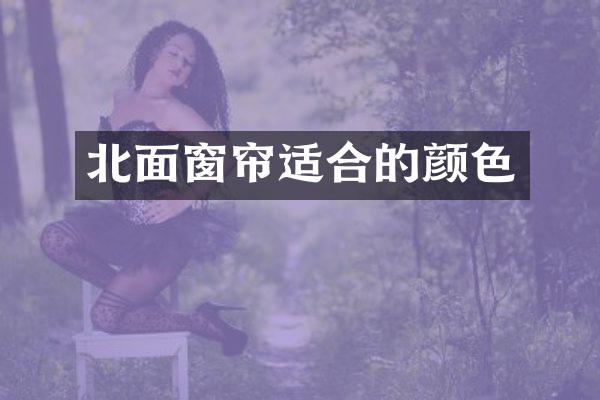 北面窗帘适合的颜色