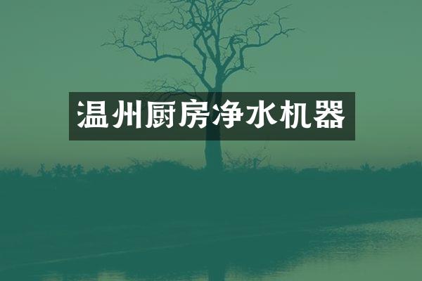 温州厨房净水机器