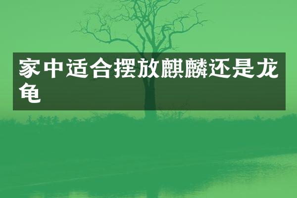 家中适合摆放麒麟还是龙龟