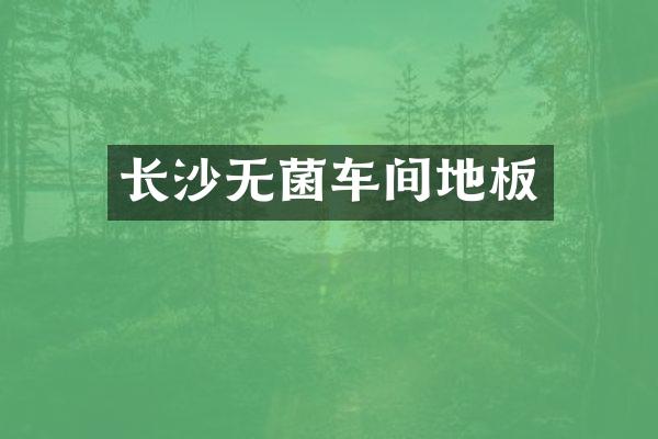 长沙无菌车间地板