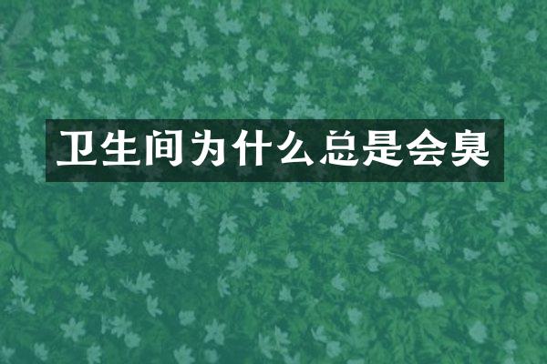 卫生间为什么总是会臭