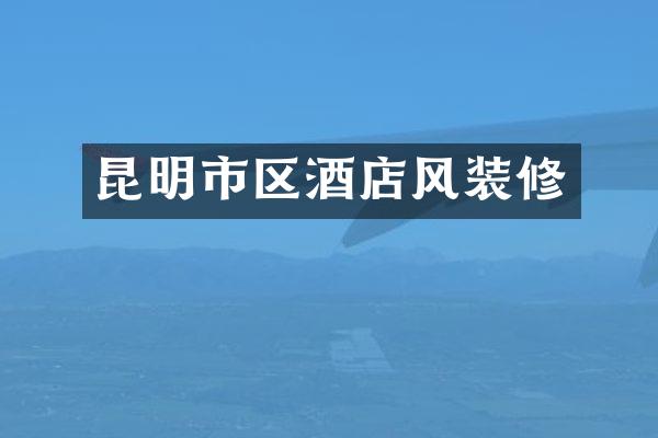 昆明市区酒店风装修