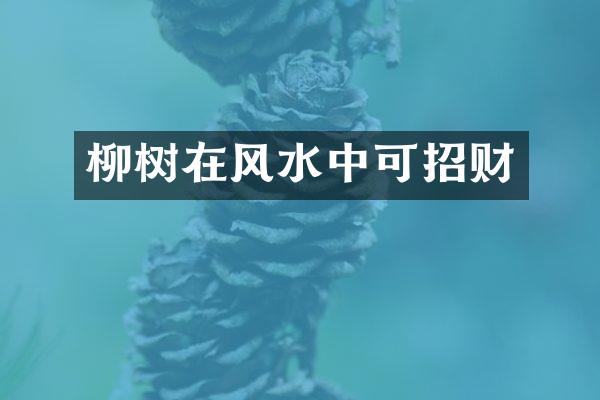 柳树在风水中可招财