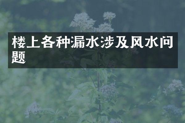 楼上各种漏水涉及风水问题
