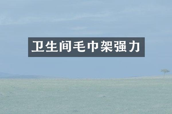 卫生间毛巾架强力