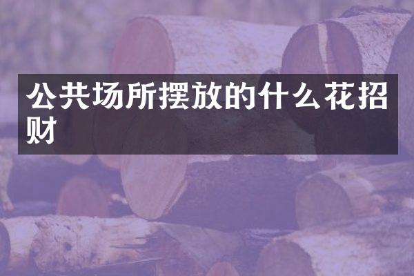 公共场所摆放的什么花招财