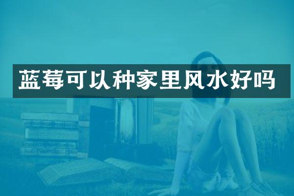 蓝莓可以种家里风水好吗