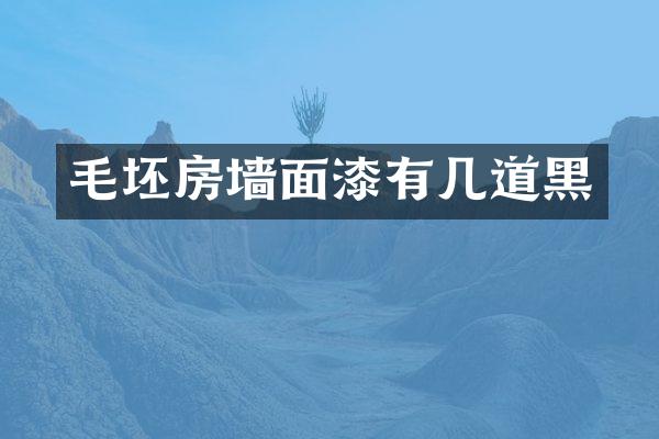 毛坯房墙面漆有几道黑