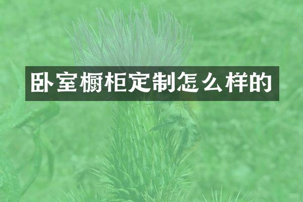 卧室橱柜定制怎么样的