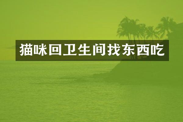猫咪回卫生间找东西吃