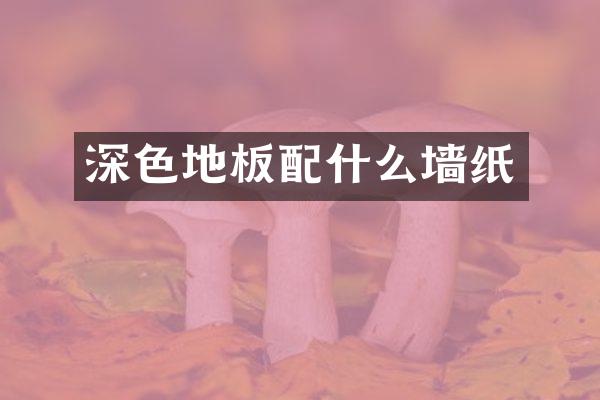 深色地板配什么墙纸