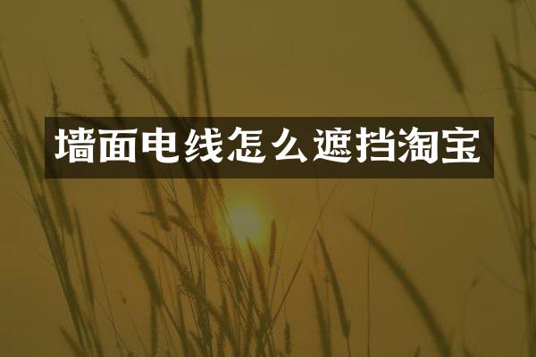 墙面电线怎么遮挡淘宝