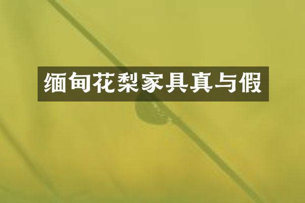 缅甸花梨家具真与假