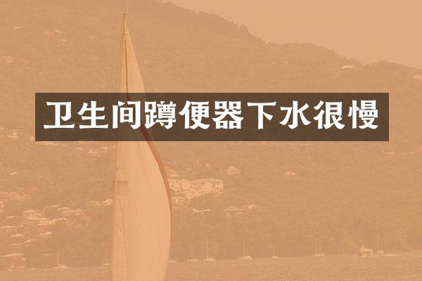 卫生间蹲便器下水很慢