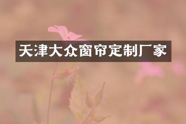 天津大众窗帘定制厂家