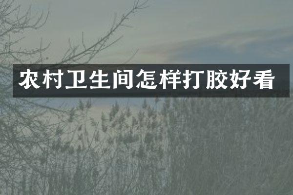 农村卫生间怎样打胶好看