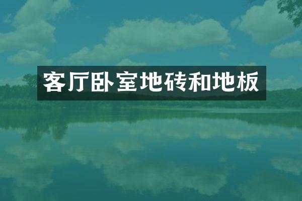 客厅卧室地砖和地板