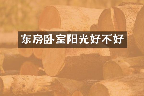 东房卧室阳光好不好