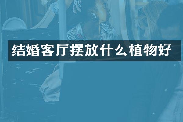 结婚客厅摆放什么植物好