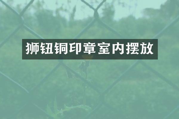 狮钮铜印章室内摆放