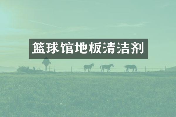 篮球馆地板清洁剂