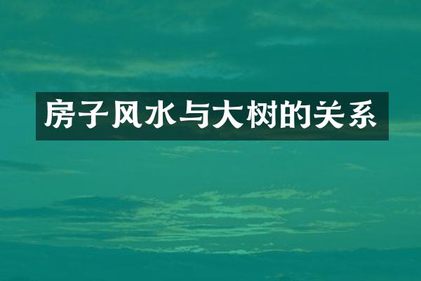 房子风水与大树的关系