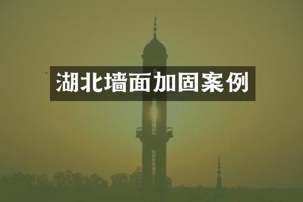 湖北墙面加固案例