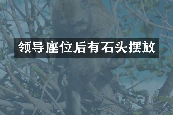 领导座位后有石头摆放