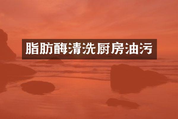脂肪酶清洗厨房油污