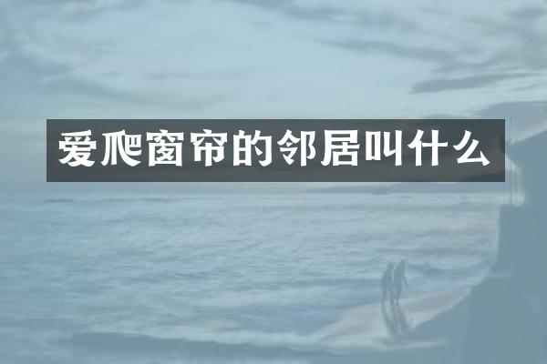 爱爬窗帘的邻居叫什么