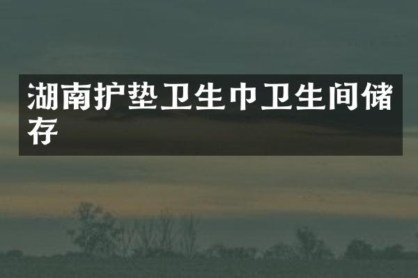 湖南护垫卫生巾卫生间储存