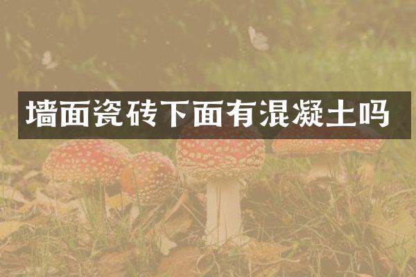 墙面瓷砖下面有混凝土吗