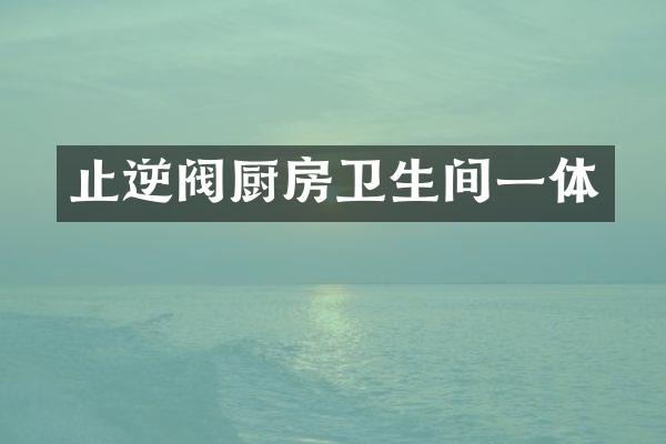 止逆阀厨房卫生间一体