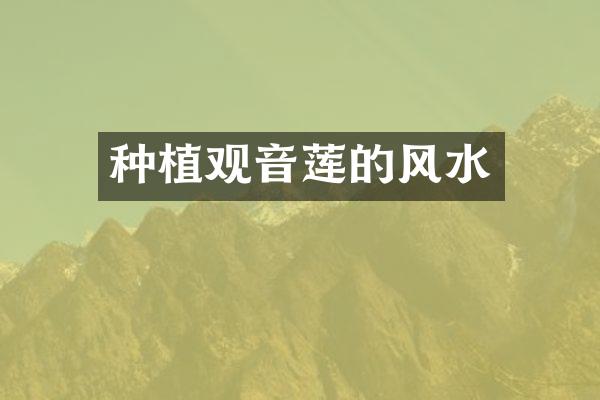 种植观音莲的风水