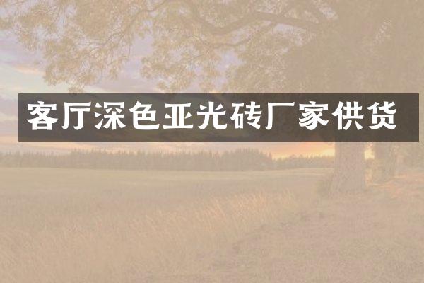 客厅深色亚光砖厂家供货
