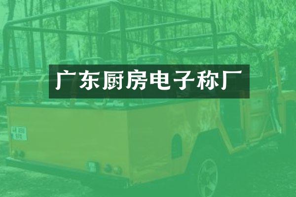 广东厨房电子称厂