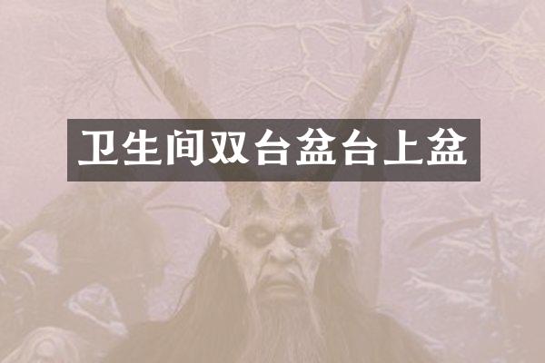 卫生间双台盆台上盆