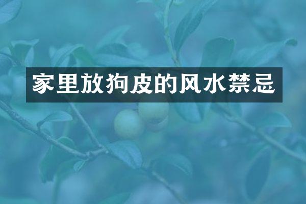 家里放狗皮的风水禁忌