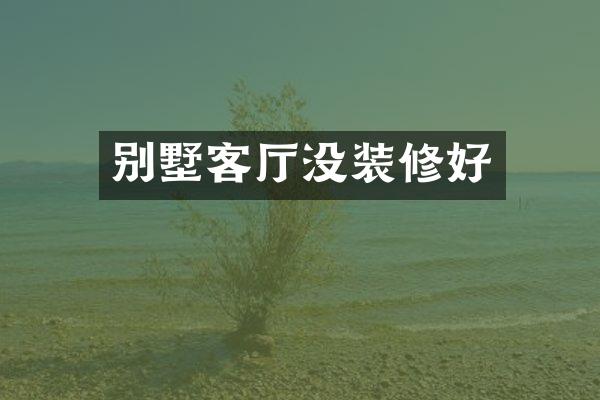 别墅客厅没装修好
