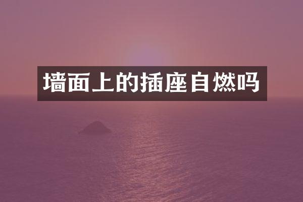 墙面上的插座自燃吗