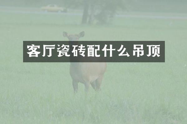 客厅瓷砖配什么吊顶