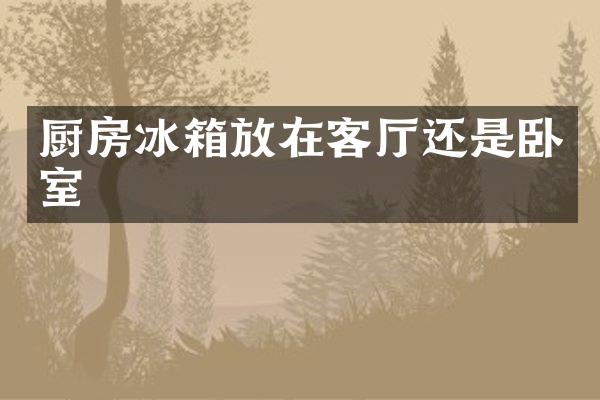 厨房冰箱放在客厅还是卧室