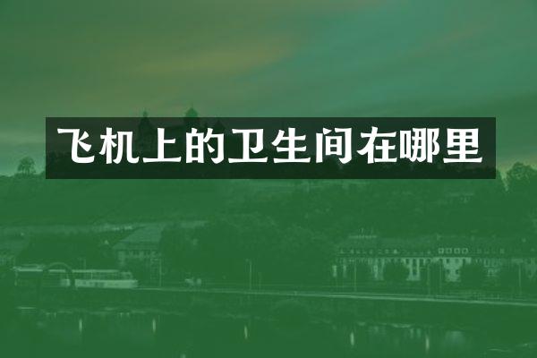飞机上的卫生间在哪里