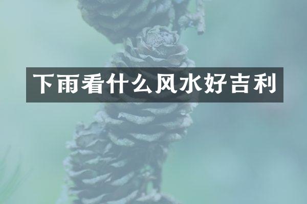 下雨看什么风水好吉利