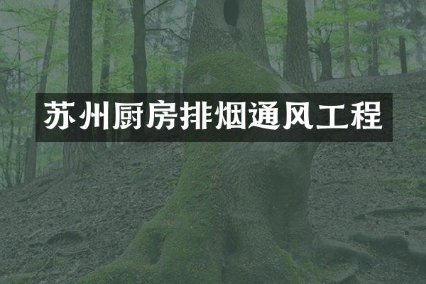 苏州厨房排烟通风工程