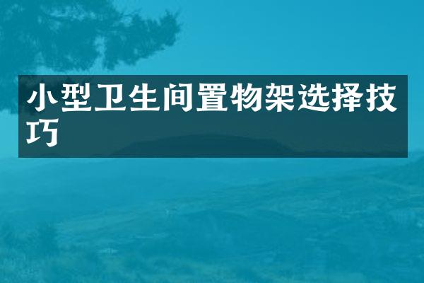 小型卫生间置物架选择技巧