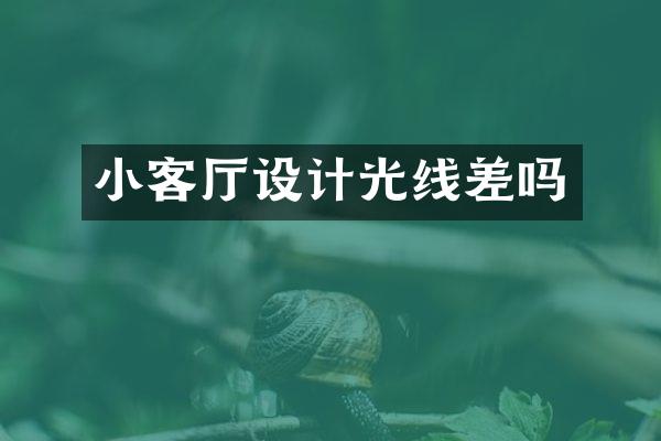 小客厅设计光线差吗