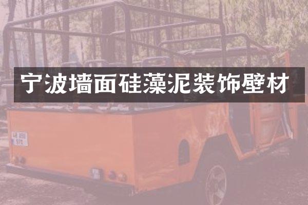 宁波墙面硅藻泥装饰壁材