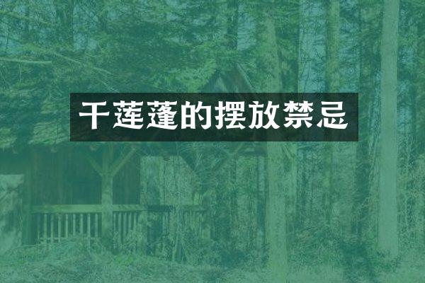 干莲蓬的摆放禁忌