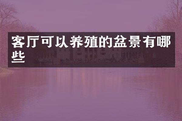 客厅可以养殖的盆景有哪些